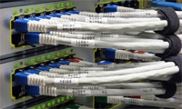 Structured Cabling Services